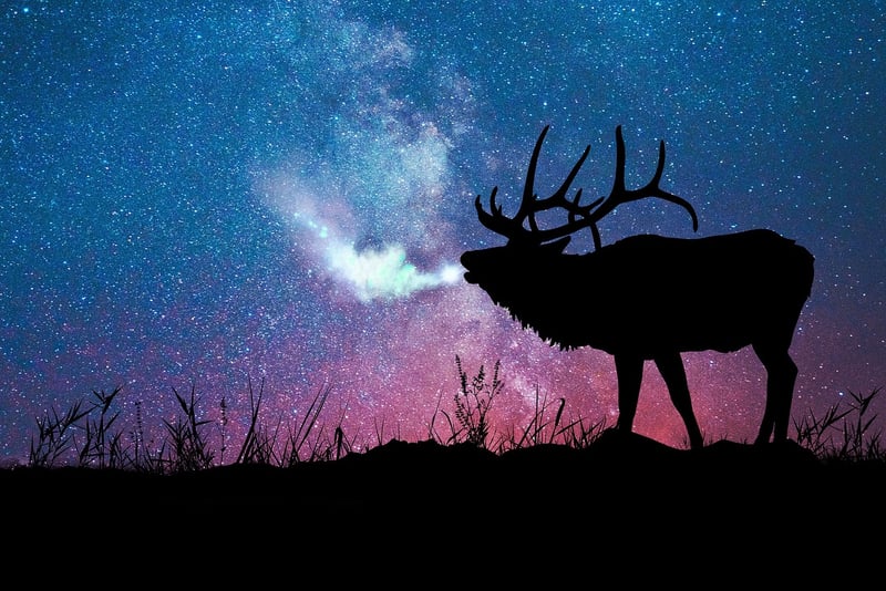 Galaxy-Inspired
